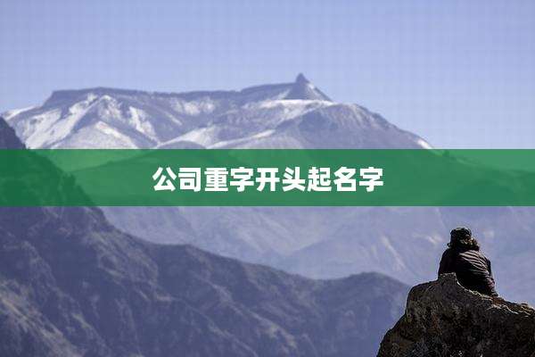 公司重字开头起名字