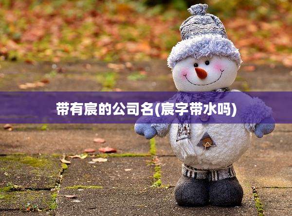 带有宸的公司名(宸字带水吗)