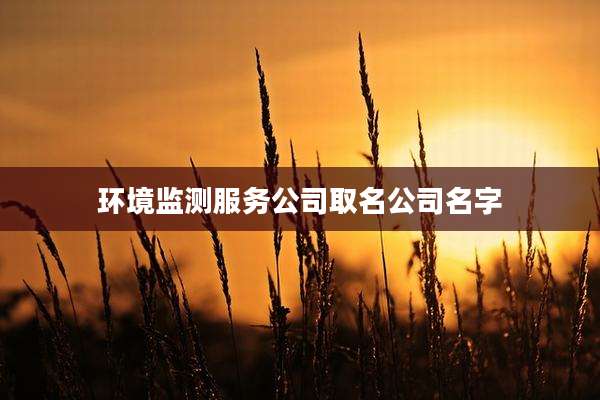 环境监测服务公司取名公司名字