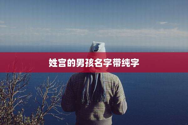 姓宫的男孩名字带纯字