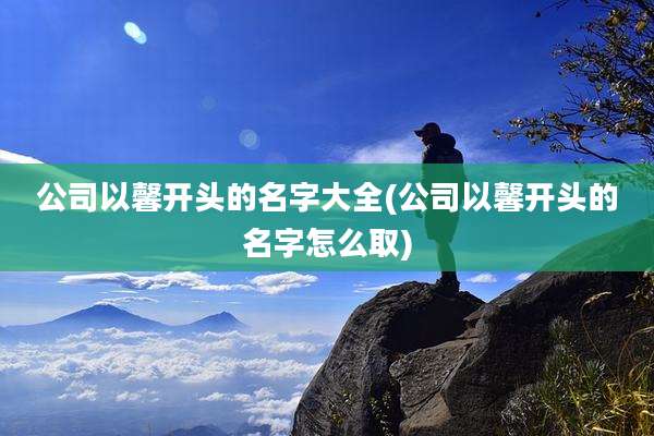 公司以馨开头的名字大全(公司以馨开头的名字怎么取)