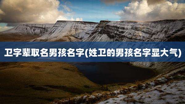 卫字辈取名男孩名字(姓卫的男孩名字显大气)