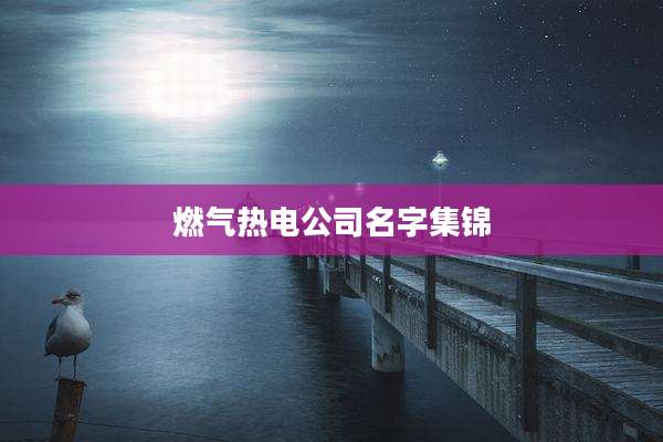 燃气热电公司名字集锦