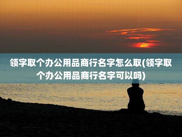 领字取个办公用品商行名字怎么取(领字取个办公用品商行名字可以吗)