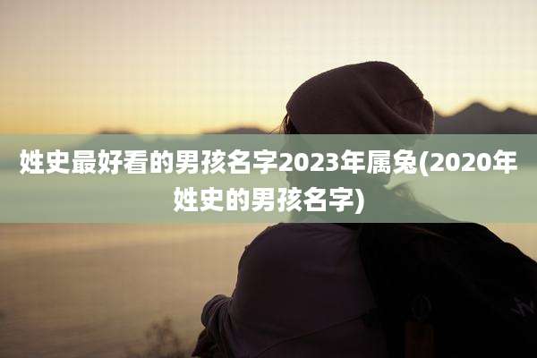 姓史最好看的男孩名字2023年属兔(2020年姓史的男孩名字)