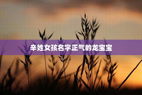 辛姓女孩名字正气的龙宝宝