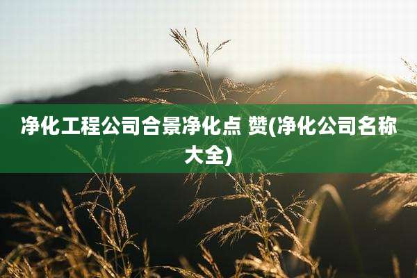 净化工程公司合景净化点 赞(净化公司名称大全)