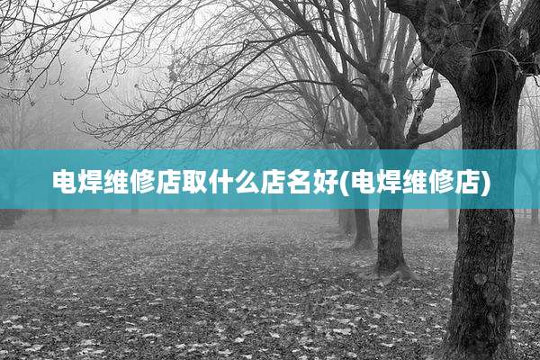 电焊维修店取什么店名好(电焊维修店)