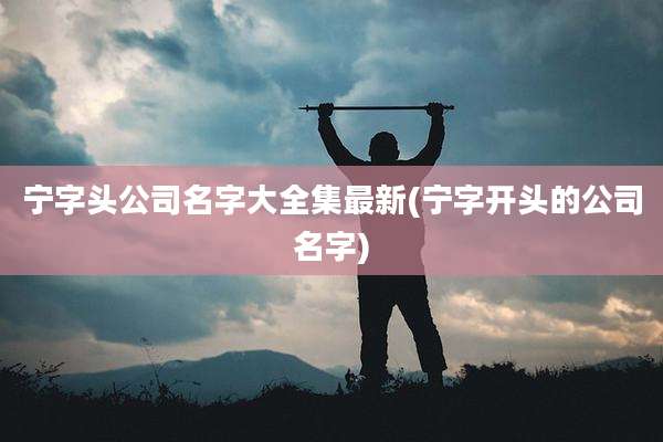 宁字头公司名字大全集最新(宁字开头的公司名字)