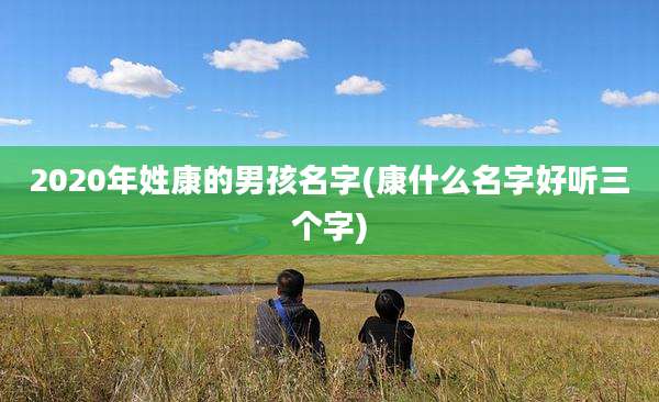 2020年姓康的男孩名字(康什么名字好听三个字)