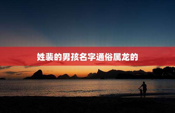 姓裴的男孩名字通俗属龙的