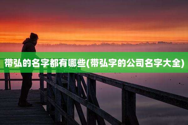 带弘的名字都有哪些(带弘字的公司名字大全)