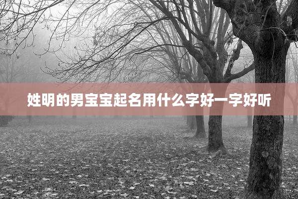 姓明的男宝宝起名用什么字好一字好听