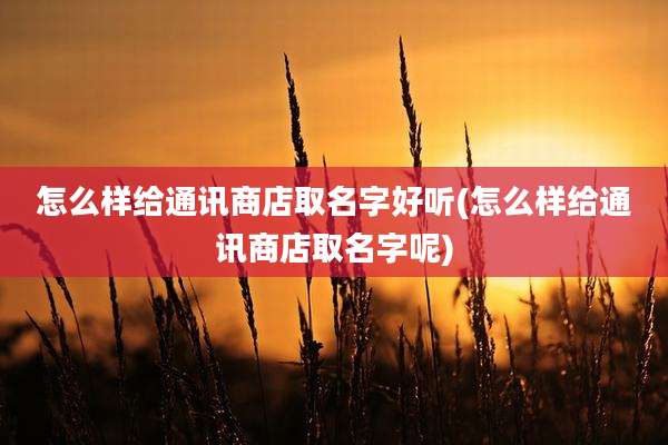 怎么样给通讯商店取名字好听(怎么样给通讯商店取名字呢)