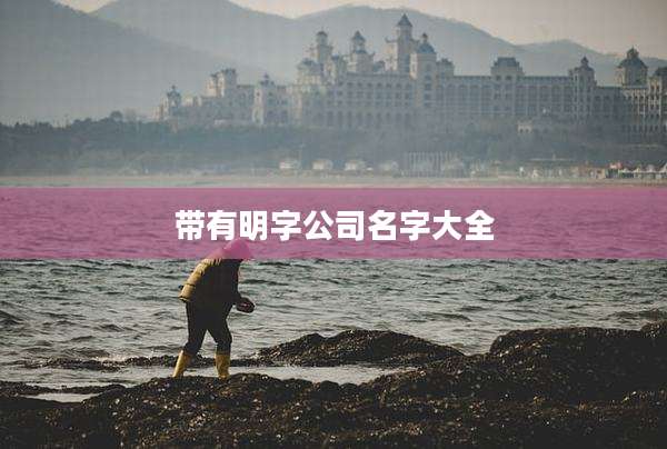 带有明字公司名字大全