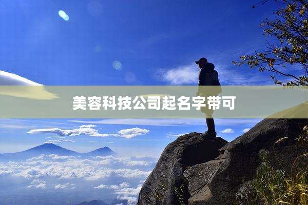 美容科技公司起名字带可