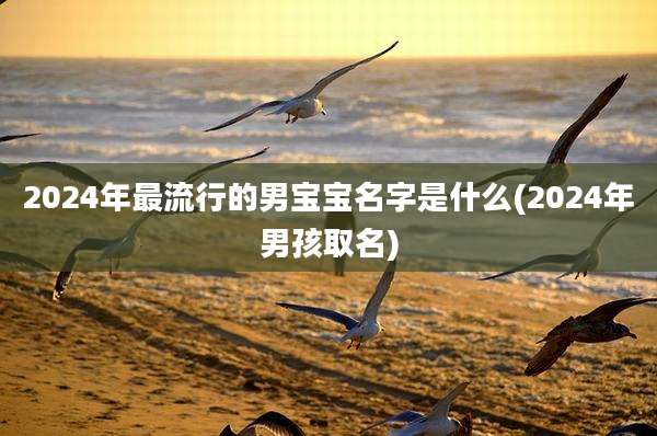 2024年最流行的男宝宝名字是什么(2024年男孩取名)
