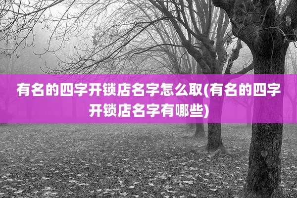 有名的四字开锁店名字怎么取(有名的四字开锁店名字有哪些)