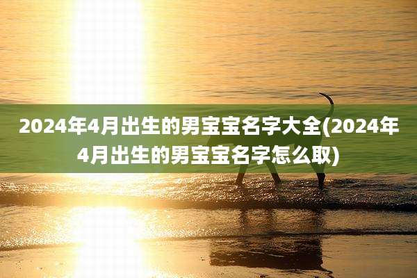 2024年4月出生的男宝宝名字大全(2024年4月出生的男宝宝名字怎么取)