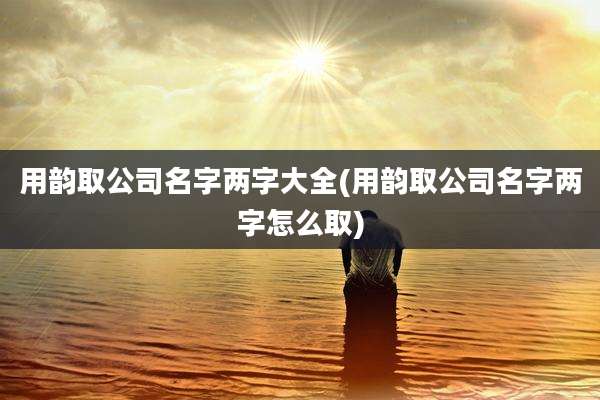 用韵取公司名字两字大全(用韵取公司名字两字怎么取)