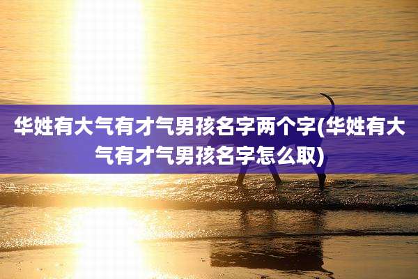 华姓有大气有才气男孩名字两个字(华姓有大气有才气男孩名字怎么取)