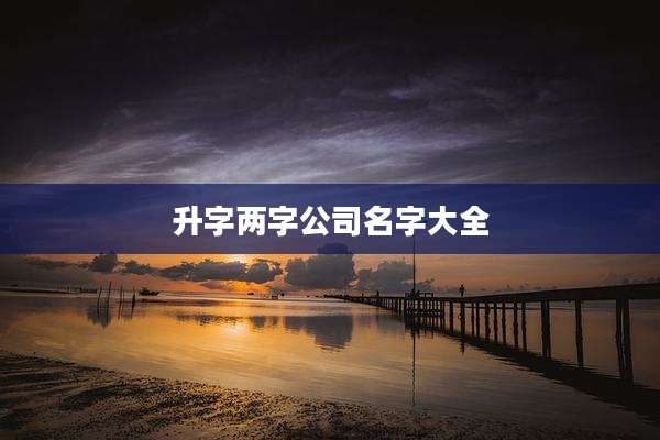 升字两字公司名字大全