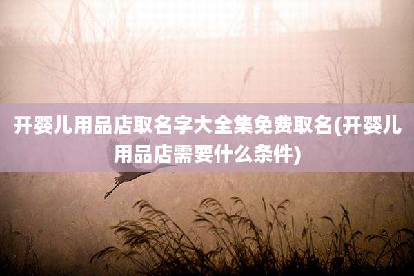 开婴儿用品店取名字大全集免费取名(开婴儿用品店需要什么条件)