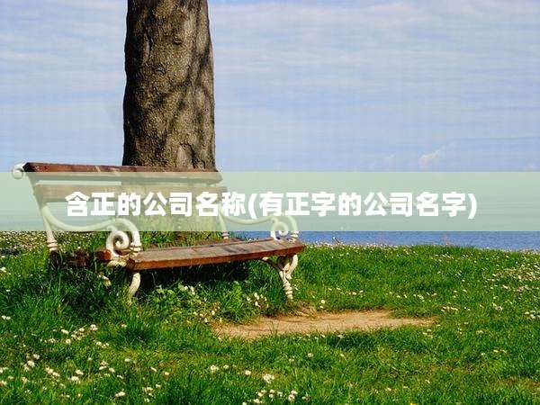 含正的公司名称(有正字的公司名字)