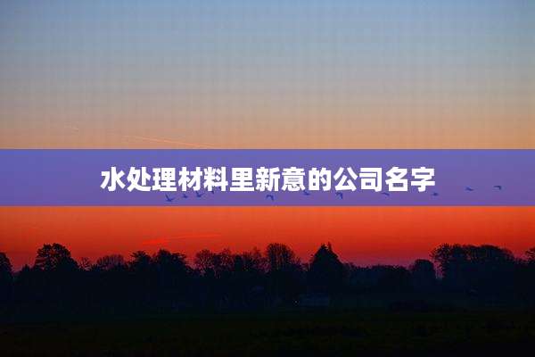 水处理材料里新意的公司名字