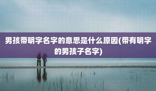 男孩带明字名字的意思是什么原因(带有明字的男孩子名字)