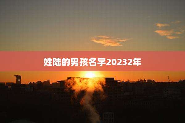 姓陆的男孩名字20232年