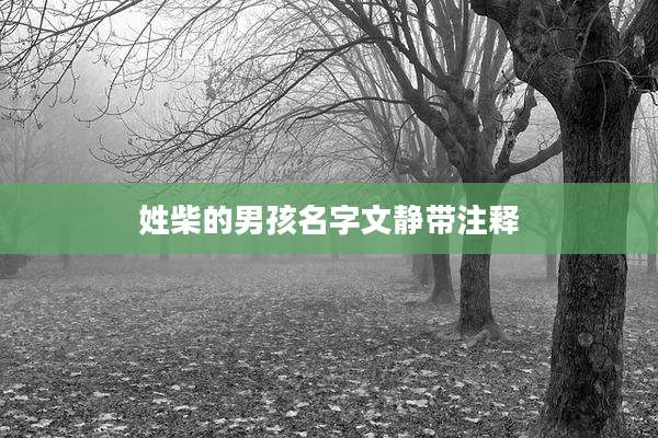 姓柴的男孩名字文静带注释