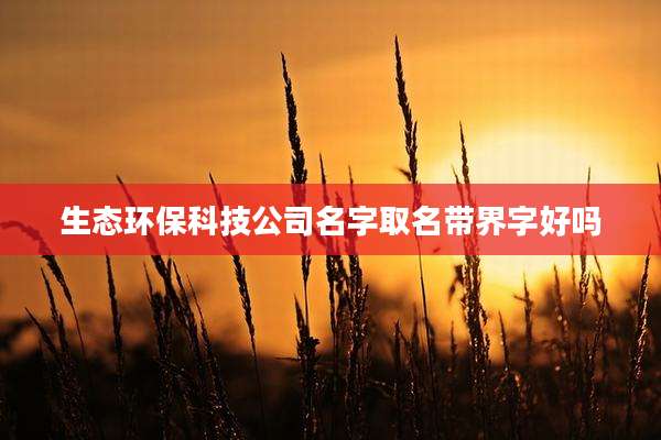 生态环保科技公司名字取名带界字好吗