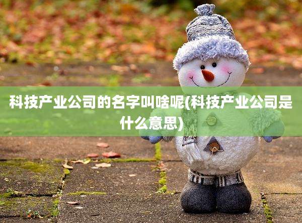 科技产业公司的名字叫啥呢(科技产业公司是什么意思)