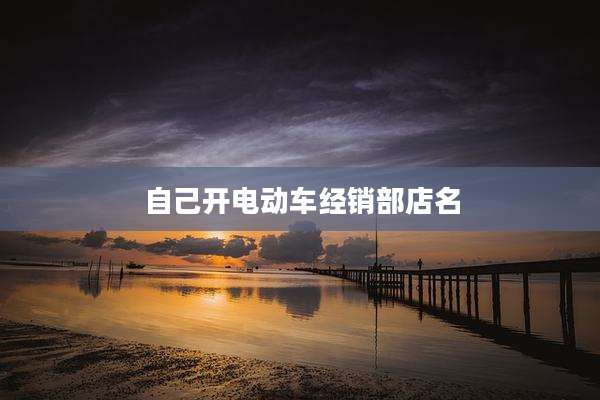 自己开电动车经销部店名