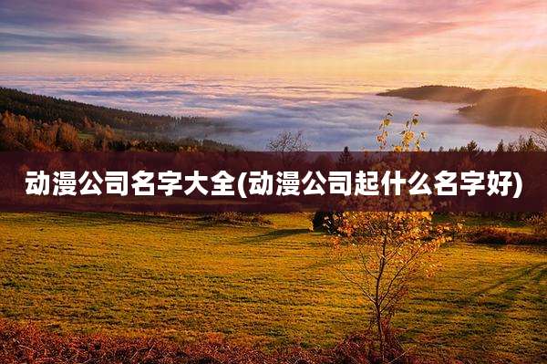 动漫公司名字大全(动漫公司起什么名字好)