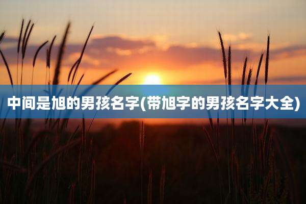 中间是旭的男孩名字(带旭字的男孩名字大全)