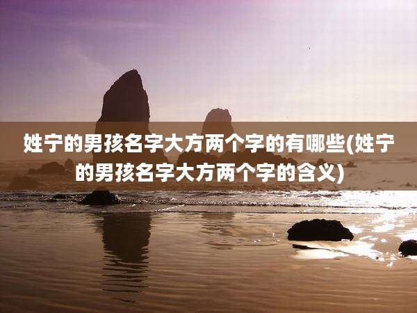 姓宁的男孩名字大方两个字的有哪些(姓宁的男孩名字大方两个字的含义)