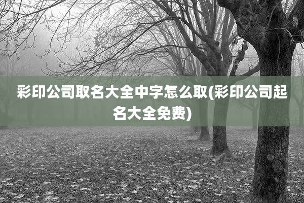 彩印公司取名大全中字怎么取(彩印公司起名大全免费)