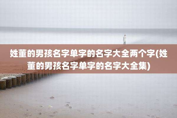 姓董的男孩名字单字的名字大全两个字(姓董的男孩名字单字的名字大全集)