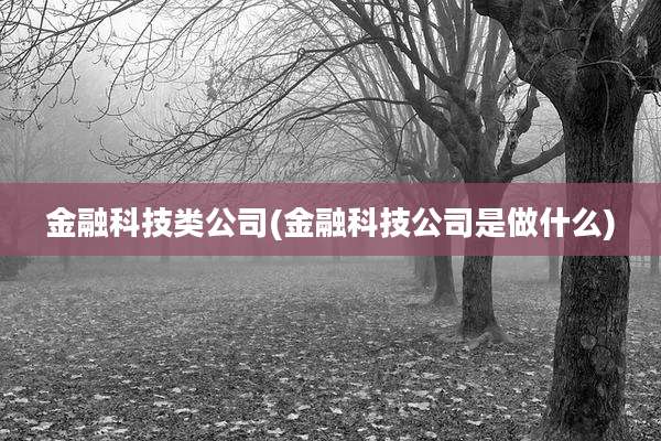 金融科技类公司(金融科技公司是做什么)