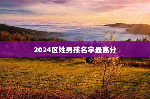 2024区姓男孩名字最高分