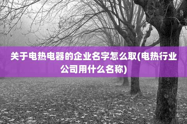 关于电热电器的企业名字怎么取(电热行业公司用什么名称)