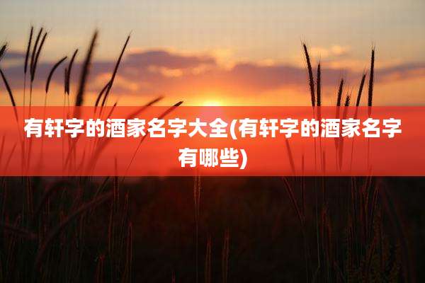 有轩字的酒家名字大全(有轩字的酒家名字有哪些)