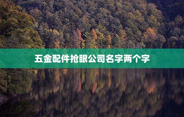 五金配件抢眼公司名字两个字