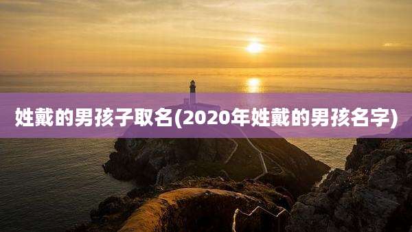 姓戴的男孩子取名(2020年姓戴的男孩名字)