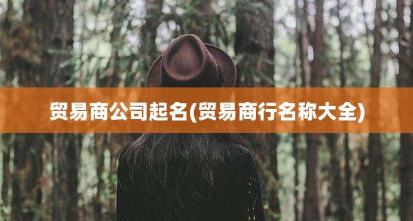 贸易商公司起名(贸易商行名称大全)