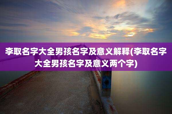 李取名字大全男孩名字及意义解释(李取名字大全男孩名字及意义两个字)
