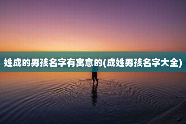 姓成的男孩名字有寓意的(成姓男孩名字大全)