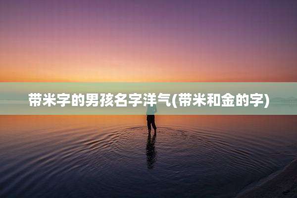 带米字的男孩名字洋气(带米和金的字)